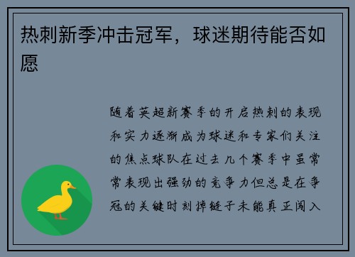 热刺新季冲击冠军，球迷期待能否如愿